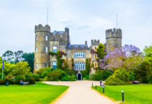 Malahide Castle Whiskey Tasting Experience Near Dublin