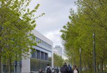 PLC courses offer alternative route to college for Leaving Cert students in Ireland