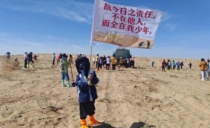 30,000 Volunteers Answer Call to Plant 1 Million Trees in China’s Desert Edge