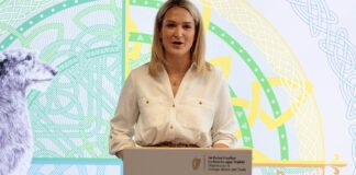 5134770 2 org CC 20NEW 20IRISH 20PASSPORT37