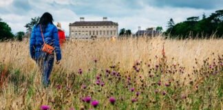 Castletown20house2C20Celbridge2C20Co20Kildare