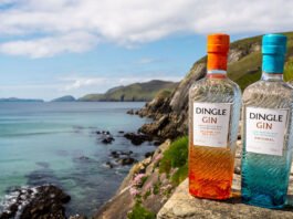 DINGLE GIN ORANGE 2