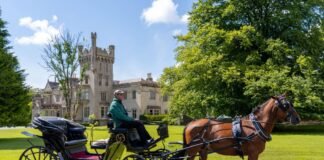 Horse Drawn Carriage Ride E50
