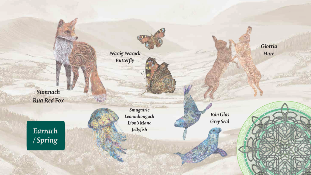 Ireland passport new design all animals and birds in there 3