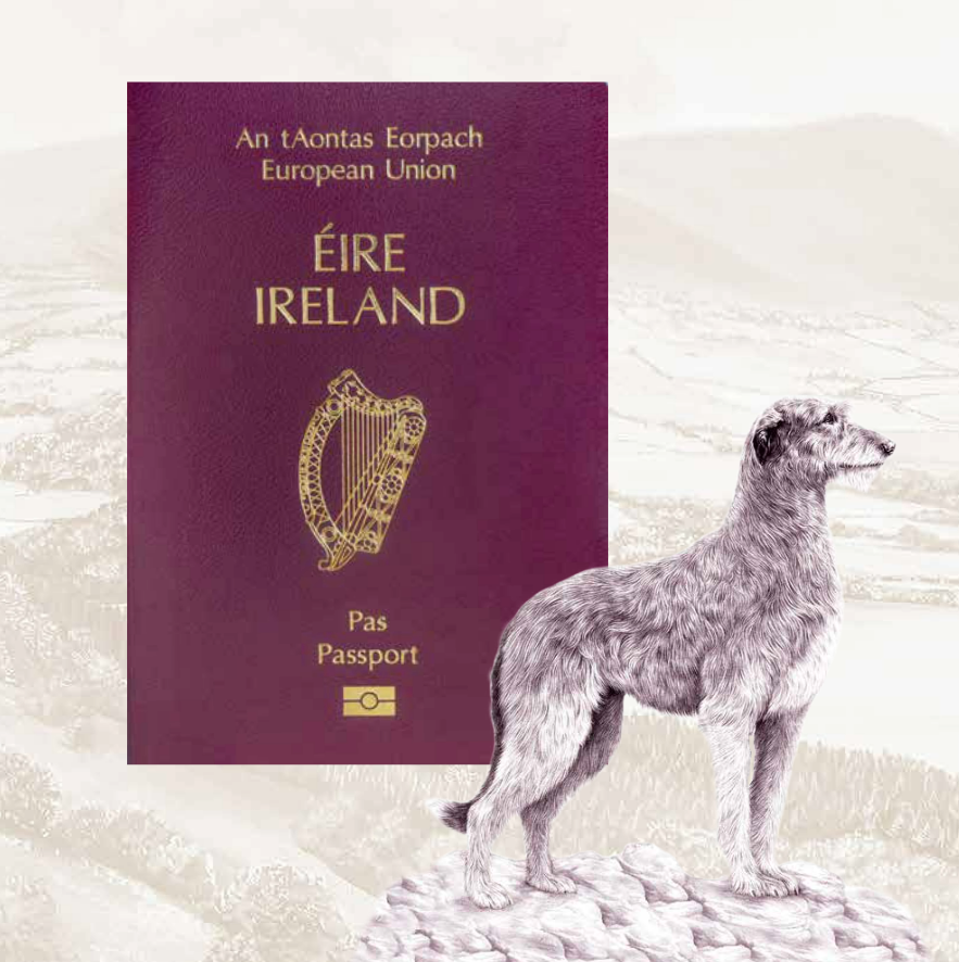 Ireland passport new design check 1