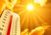Health alert as soaring temperatures raise risks for heart patients