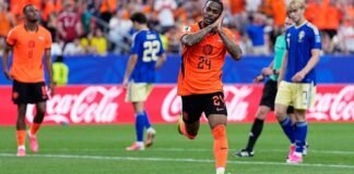 brian brobbey and cody gakpo shine as netherlands hammer sweden at world cup