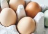 eggs daily healthy as06252026 df99dd