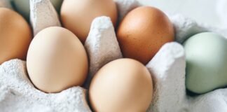 eggs daily healthy as06252026 df99dd