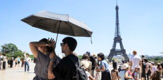 france records 1 000 excess deaths during record breaking heatwave