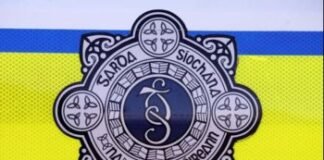 garda investigate assault and attempted abduction of woman 0757000000