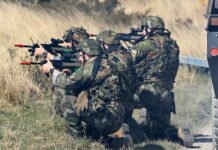 Cabinet Poised to Advance Overseas Troop Deployment Reform