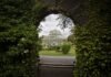 Where to Find Dublin’s Most Refreshing Green Escapes