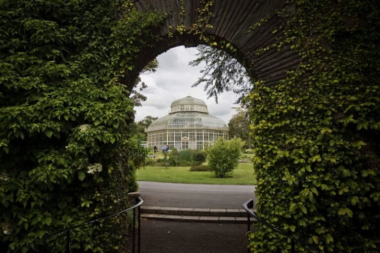Where to Find Dublin’s Most Refreshing Green Escapes