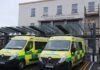 Bee Swarm Adds Fresh Pressure at Overcrowded University Hospital Limerick