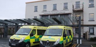 heatwave bee swarm exacerbates overcrowding crisis at university hospital limerick