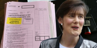 irish leaving cert exam guide
