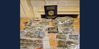 man 20s charged over seizure of cannabis worth 24k in dublin
