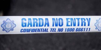 man 40s dies and four others injured in two car collision in limerick