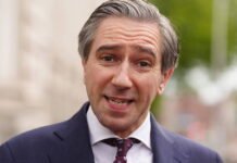 Harris Leaves Open Path for Michael Healy-Rae After Coalition Rift