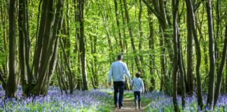 tree woods father dad child trees via Getty