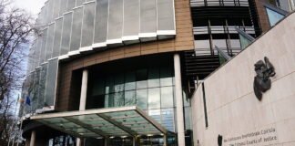 trial of truck driver who knocked down and killed elderly woman hears from collision investigato