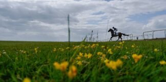 two caravans parked near the curragh racecourse attracting others court hears