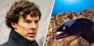 15 Solved Mysteries That Changed How We Understand History, Science and the World 3T3DCZn5E