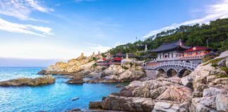 Busan tourism complaints