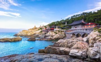 Busan tourism complaints