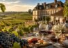 Michelin Grapes: France Launches a New Wine Tourism Benchmark in Burgundy