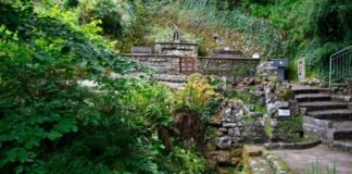 Lush green foliage surrounding stone walls, steps, and a small flowing stream at Tobernalt Holy Well in Ireland