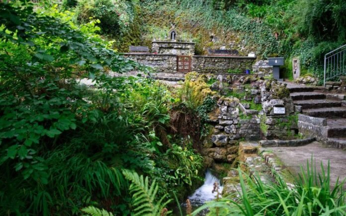 Lush green foliage surrounding stone walls, steps, and a small flowing stream at Tobernalt Holy Well in Ireland
