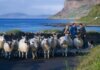 How Ireland Changed Beyond Recognition Yet Kept Its Spirit