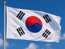 South Korea Flag 1