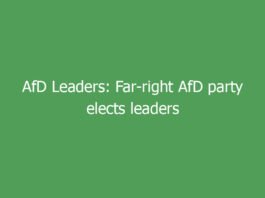 afd leaders far right afd party elects leaders as protesters and police clash in germany 9959 e68e8