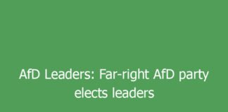 afd leaders far right afd party elects leaders as protesters and police clash in germany 9959 e68e8