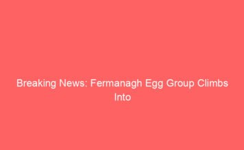 breaking news fermanagh egg group climbs into northern irelands top profit ranks 10313 76d8a