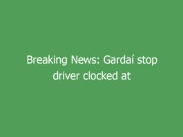 breaking news gardai stop driver clocked at 99km h in 50 zone on kildare route 9800 62235