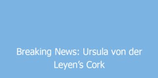 breaking news ursula von der leyens cork visit to bring key eu talks and traffic disruption 9355 be78c