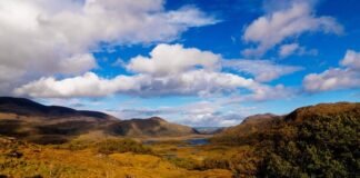 collagesecondary desktop 20
