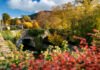 October in Ireland: The Autumn Escape Food Lovers Shouldn’t Miss collagesecondary desktop 30
