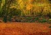 Autumn in Ireland: Scenic Escapes, Cosy Stops and Tastes Worth the Journey collagesecondary desktop 32