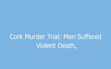 cork murder trial man suffered violent death court hears 8978 99fc0