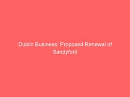 dublin business proposed renewal of sandyford business improvement district scheme 2 10704 8fdb2