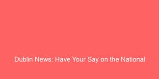 dublin news have your say on the national watersports campus 3 10617 a8cbf