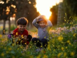 fares hamouche aOoetTjMrko unsplash