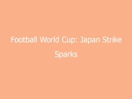 football world cup japan strike sparks refereeing debate 7946 02585