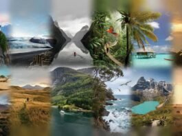 high level description a cinematic photo uHF61rrQVwyduGofl65EOw d41PAHMISmKUW2LZX47xcg cover hd