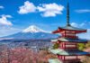 Foreigners Working in Japan: New Survey Shows Why International Professionals Are Planning Shorter Stays